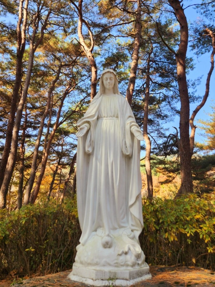 cca1adc0baf15d113988c3c1a7406e06_1699370