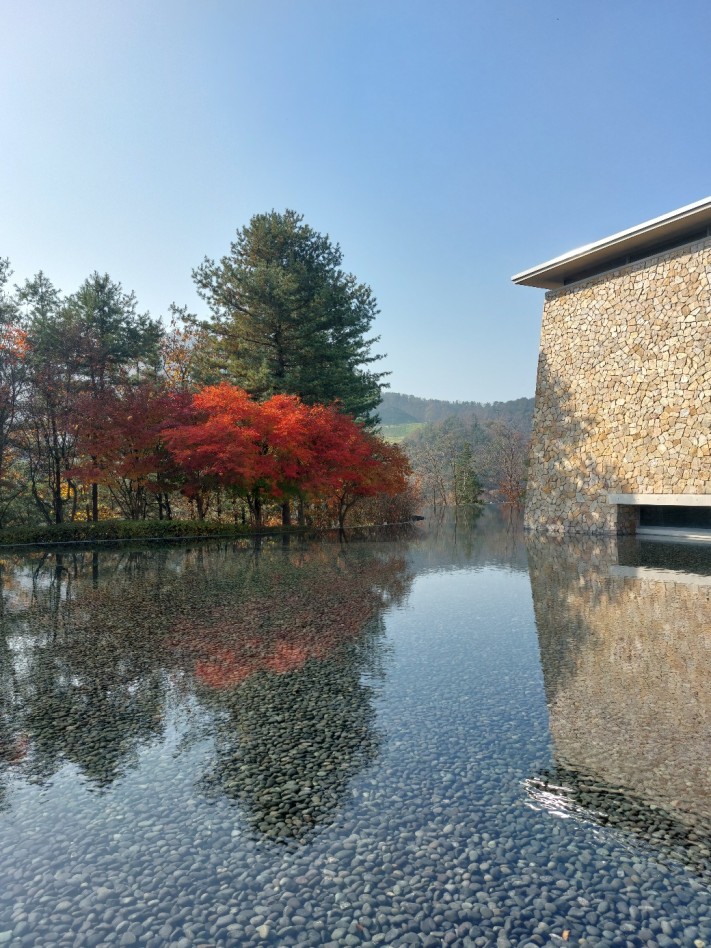 cca1adc0baf15d113988c3c1a7406e06_1699370