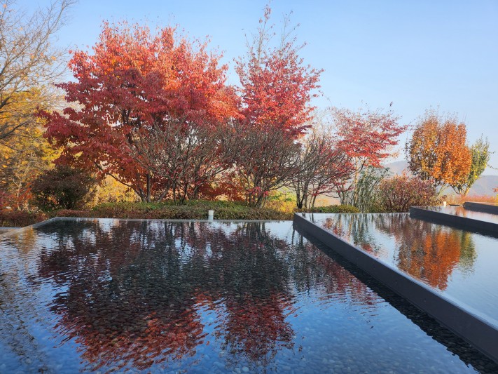 cca1adc0baf15d113988c3c1a7406e06_1699370