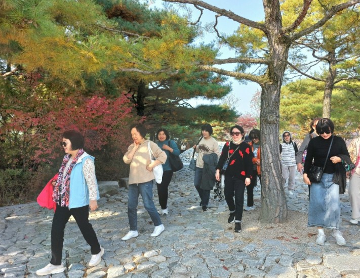 cca1adc0baf15d113988c3c1a7406e06_1699370