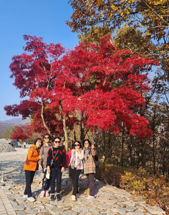 cca1adc0baf15d113988c3c1a7406e06_1699370