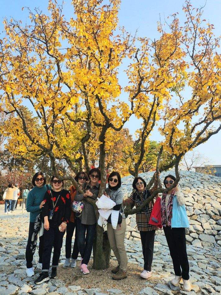 cca1adc0baf15d113988c3c1a7406e06_1699370