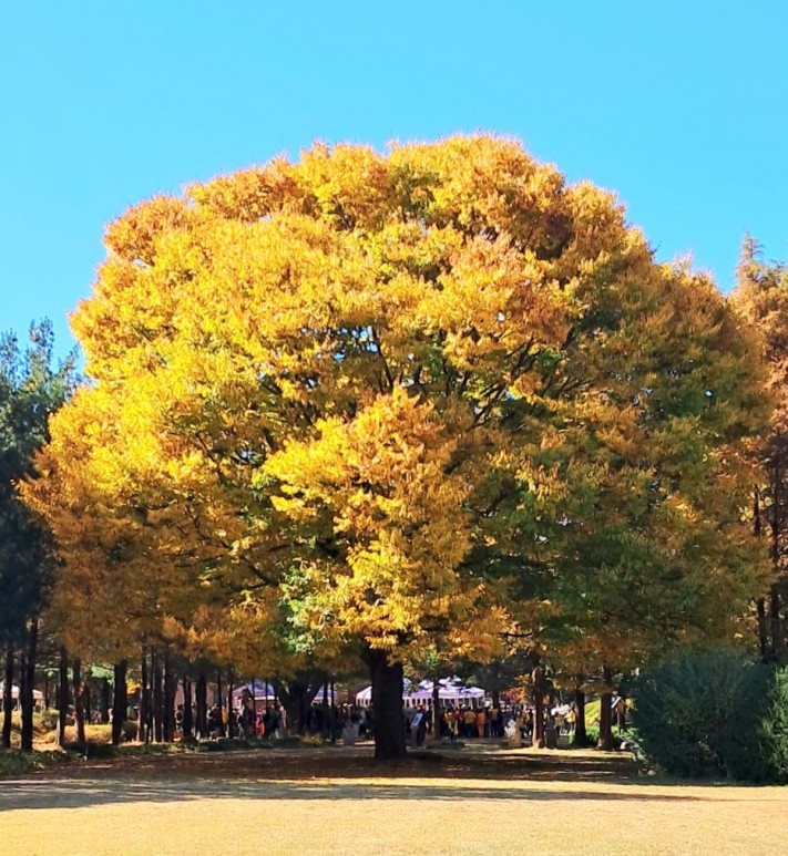 d7182136c2034c73ea5d2cb8fe1b42e3_1698933