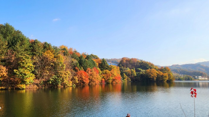 d7182136c2034c73ea5d2cb8fe1b42e3_1698933