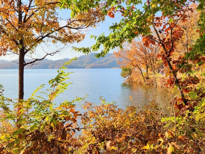 d7182136c2034c73ea5d2cb8fe1b42e3_1698933