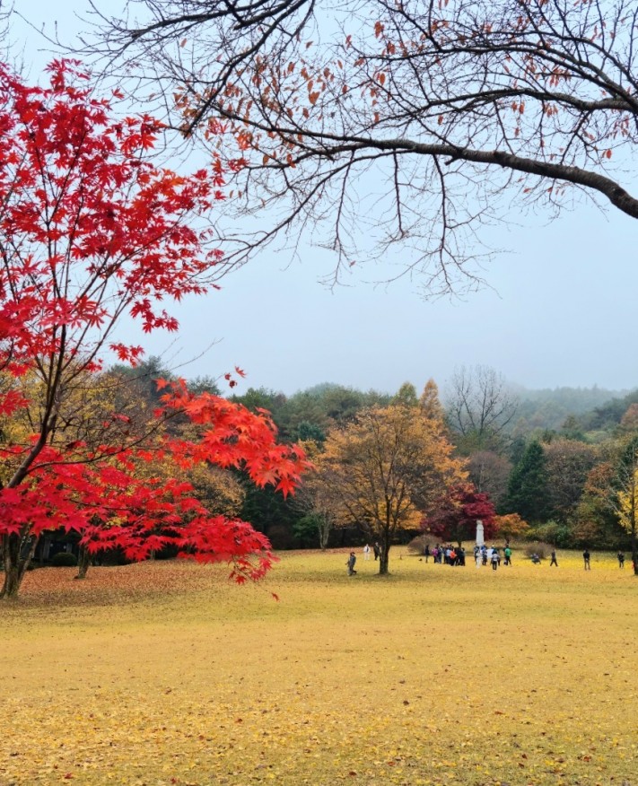 d90e496e198d24fb4722605574adf545_1698916