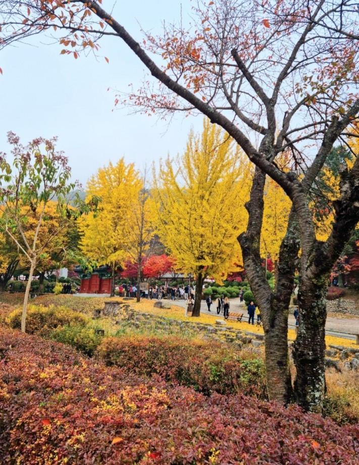 d90e496e198d24fb4722605574adf545_1698916