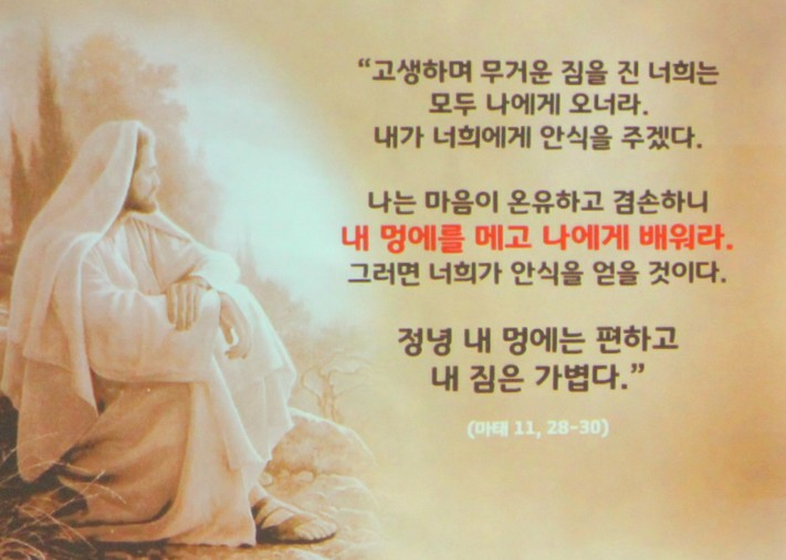 13f99d5ce015438f2c119ef7b1744f89_1702784