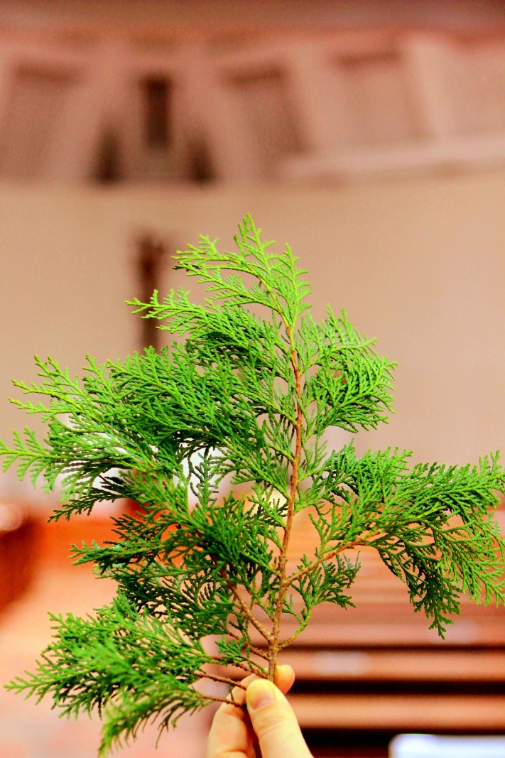 3b48389321fc4dabb4ef1dafb4e62190_1711355