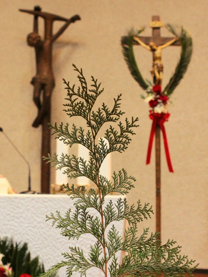 3b48389321fc4dabb4ef1dafb4e62190_1711355