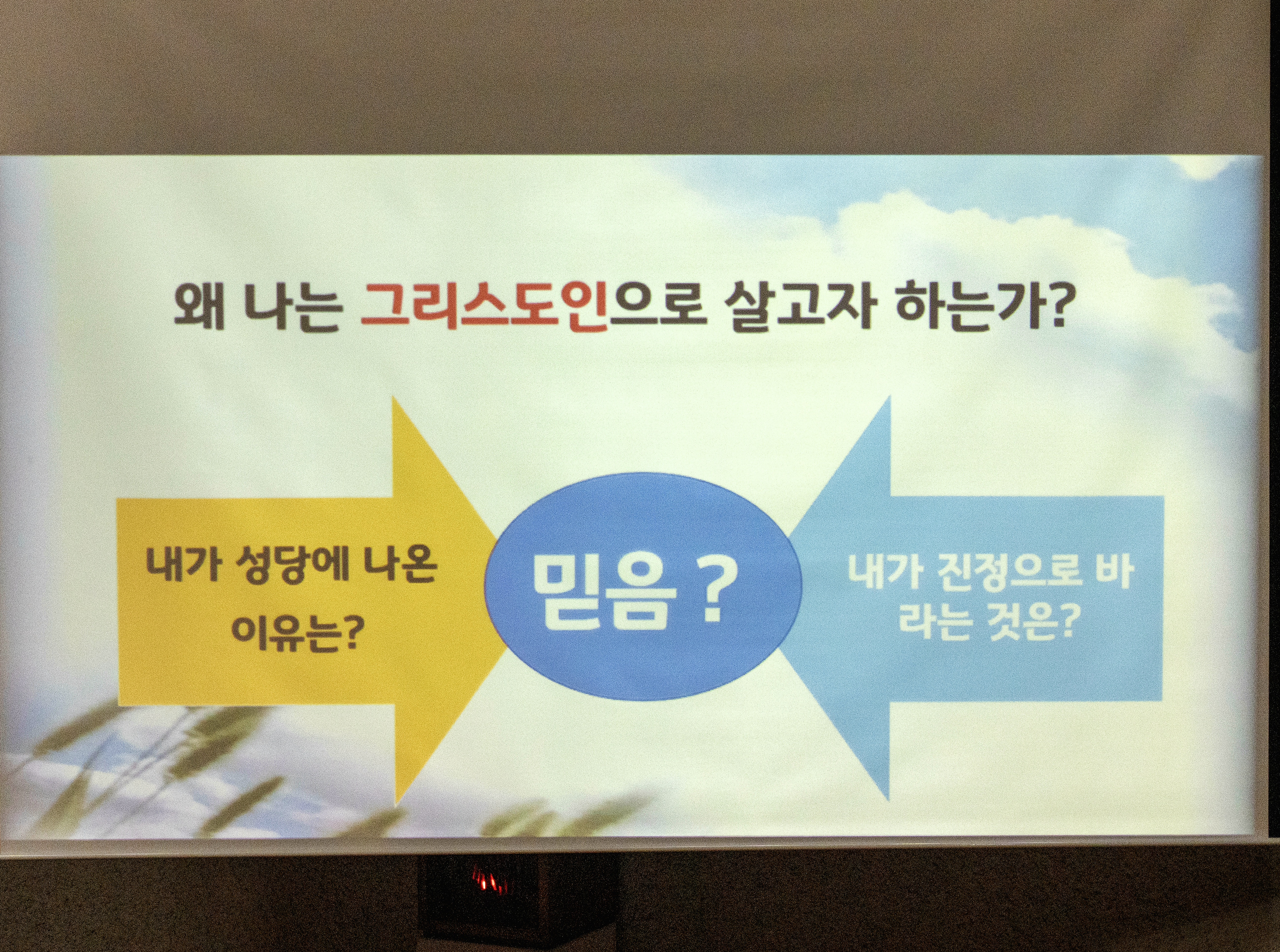 144187ed201b5cfb7416a193293941b5_1716271