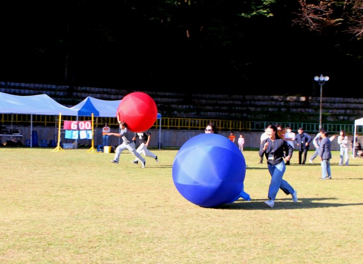 47d8f5a0d974b9b466f65cbae1bdf357_1730158