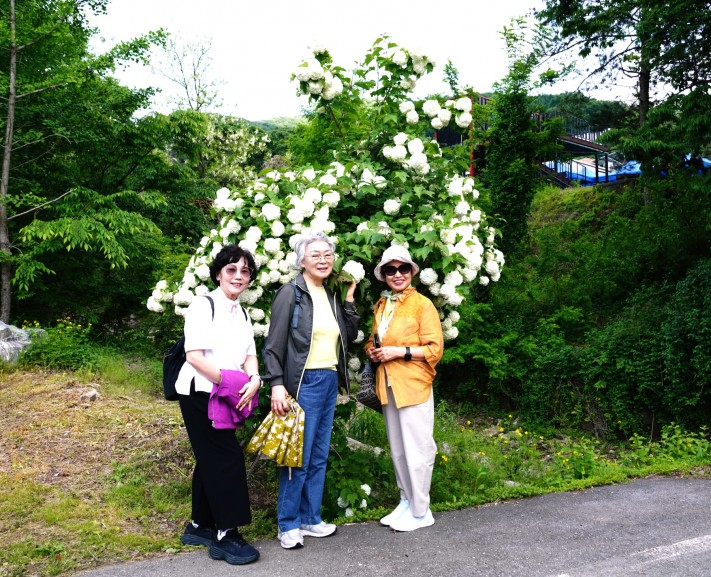 af8cd5e5aa21a88972abec4d51b0ed02_1748331